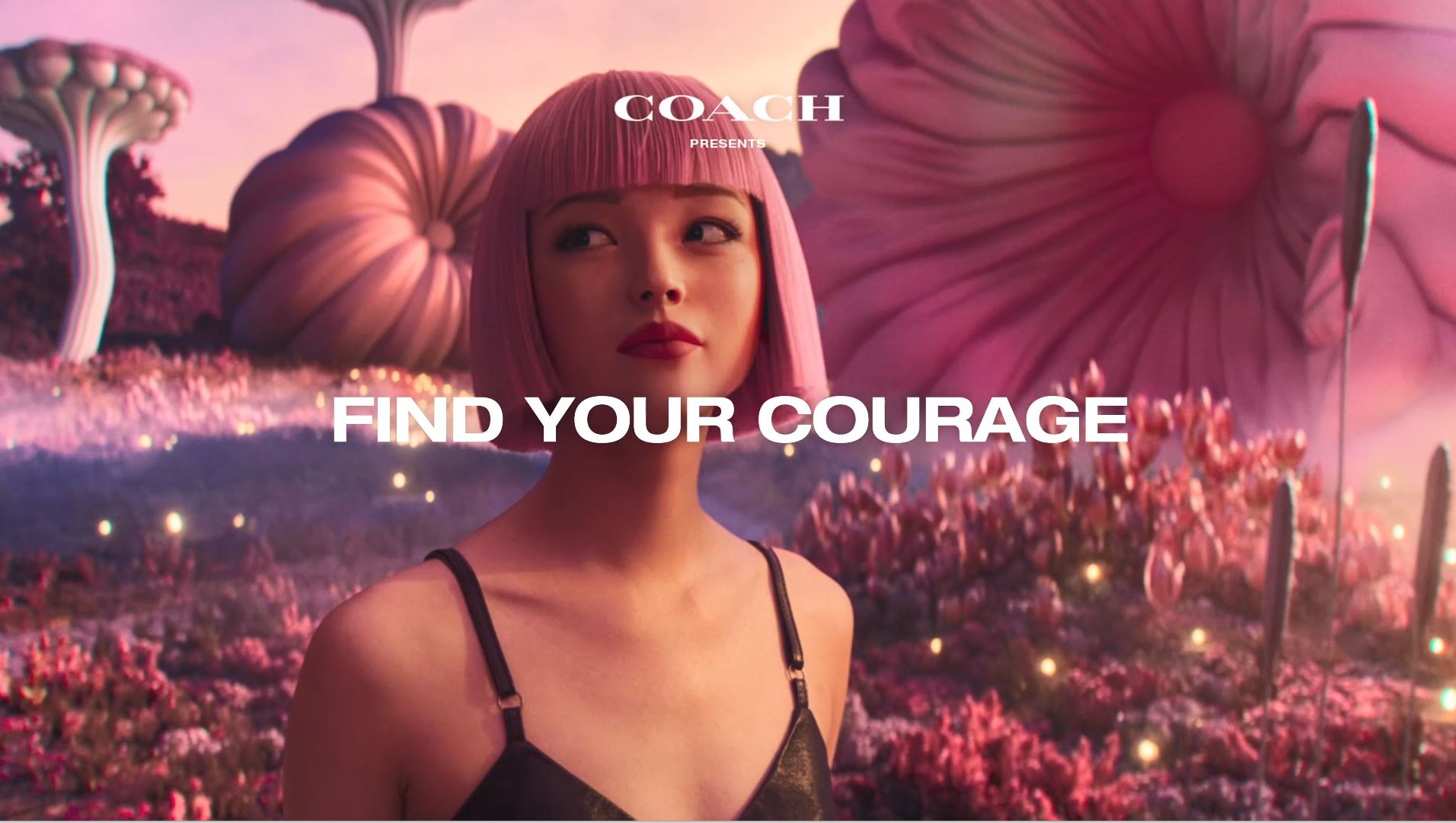 coach find your courage