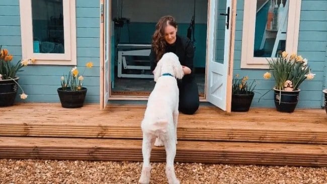 Driving B2B Animal Insurance Website Traffic With TikTokers