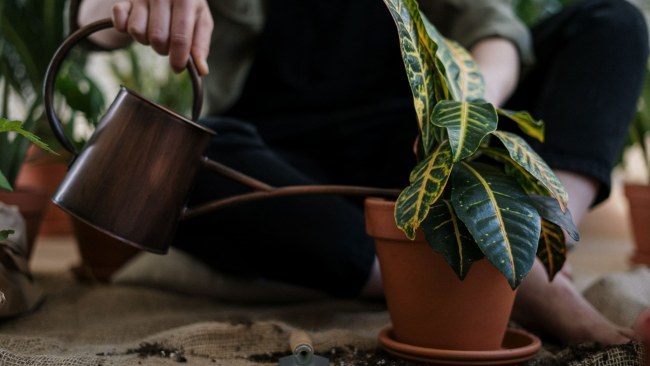 Mental Health Support For StartUps – Startups Magazine