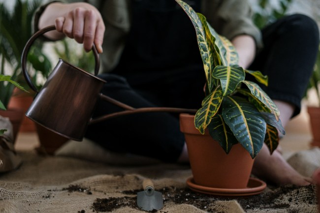 Mental Health Support For StartUps – Startups Magazine