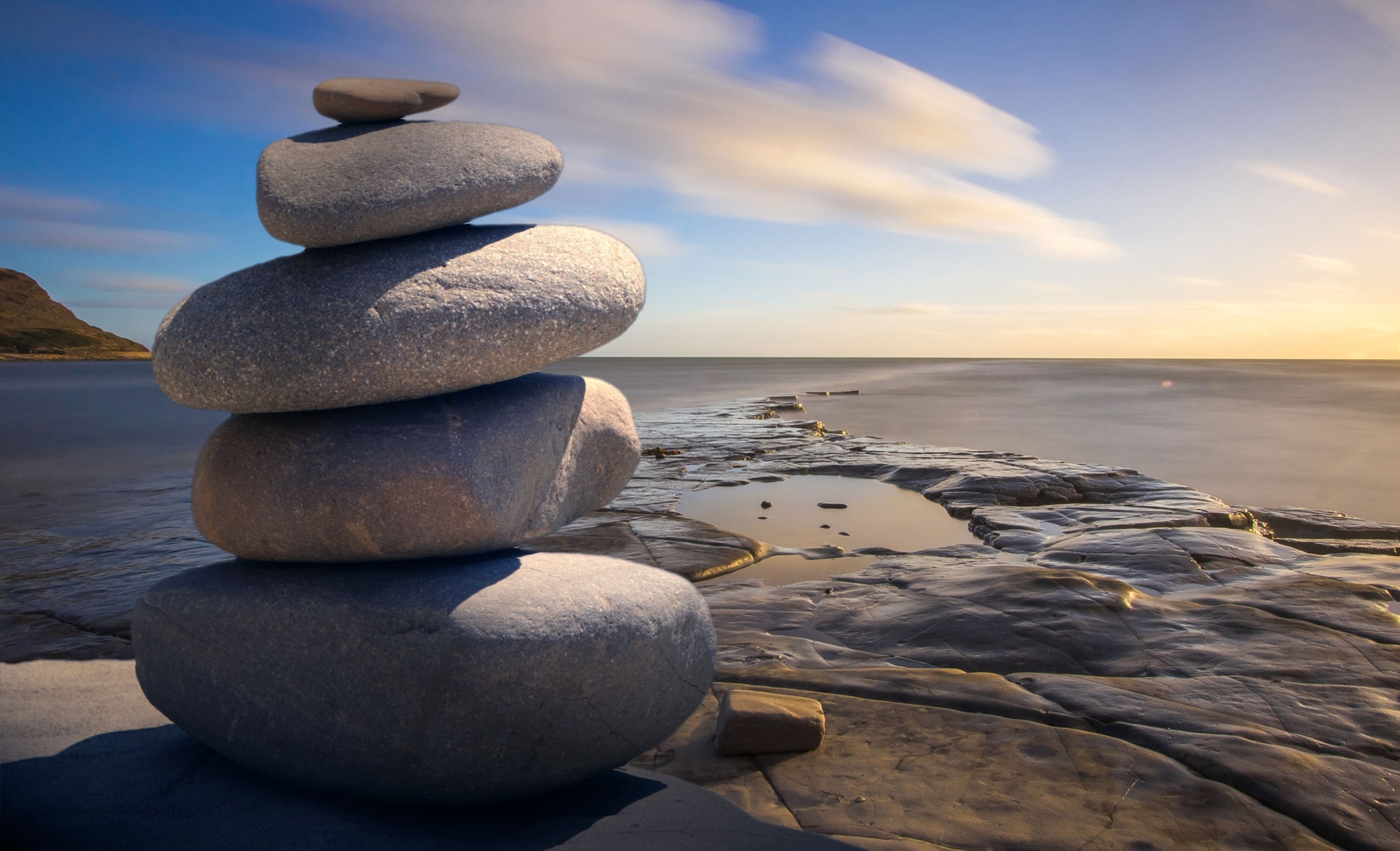 Wellness Trends [May 2023]